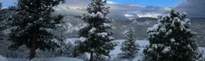 Karin Snowy Tree Panorama