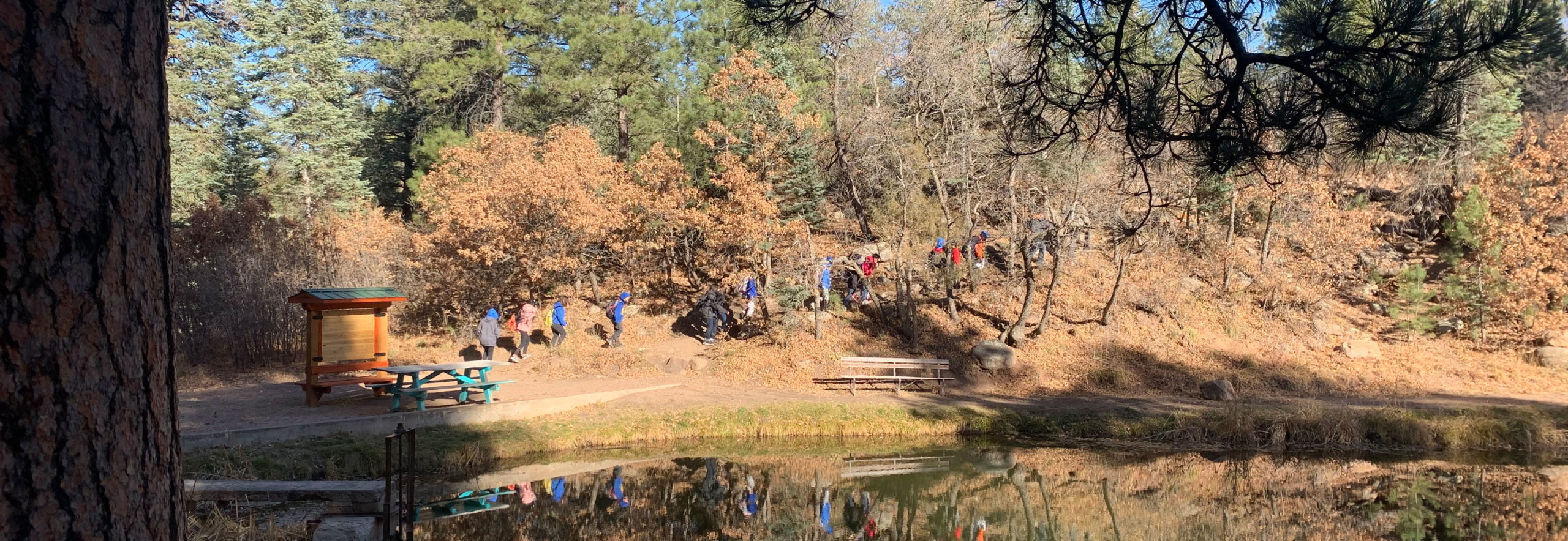 hikers by a pond