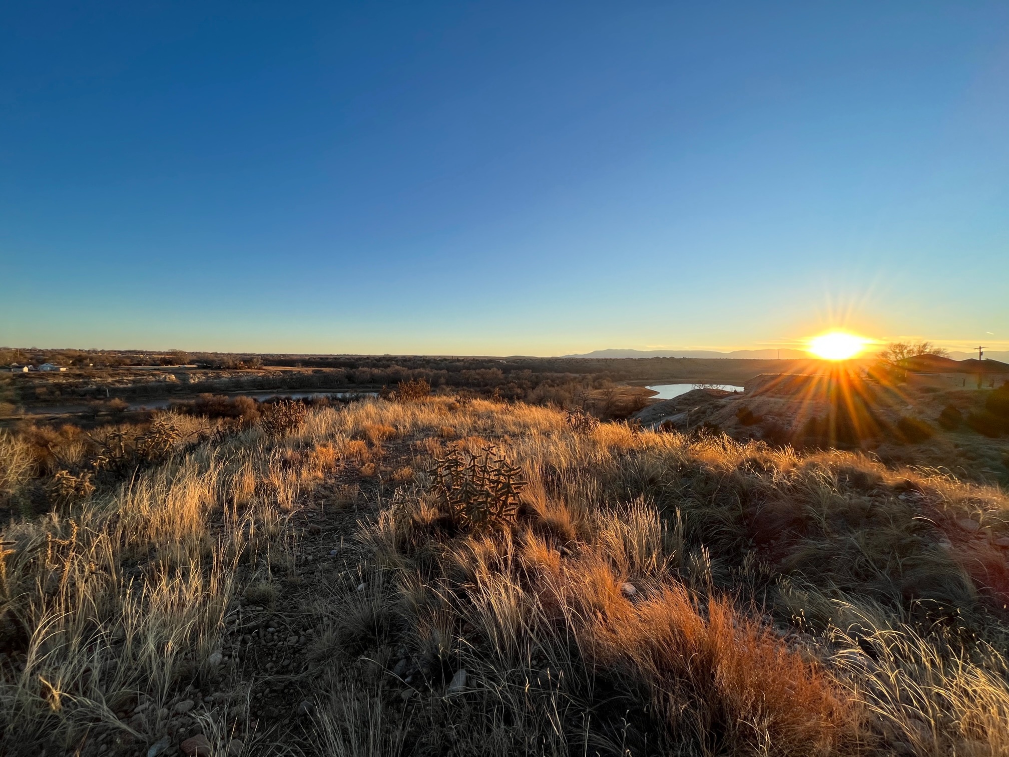 sunset over a prairie shortgrass ecosystem
