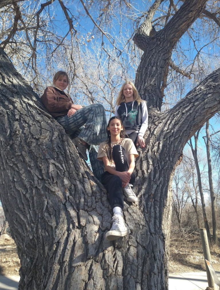 kids sitting in a tree