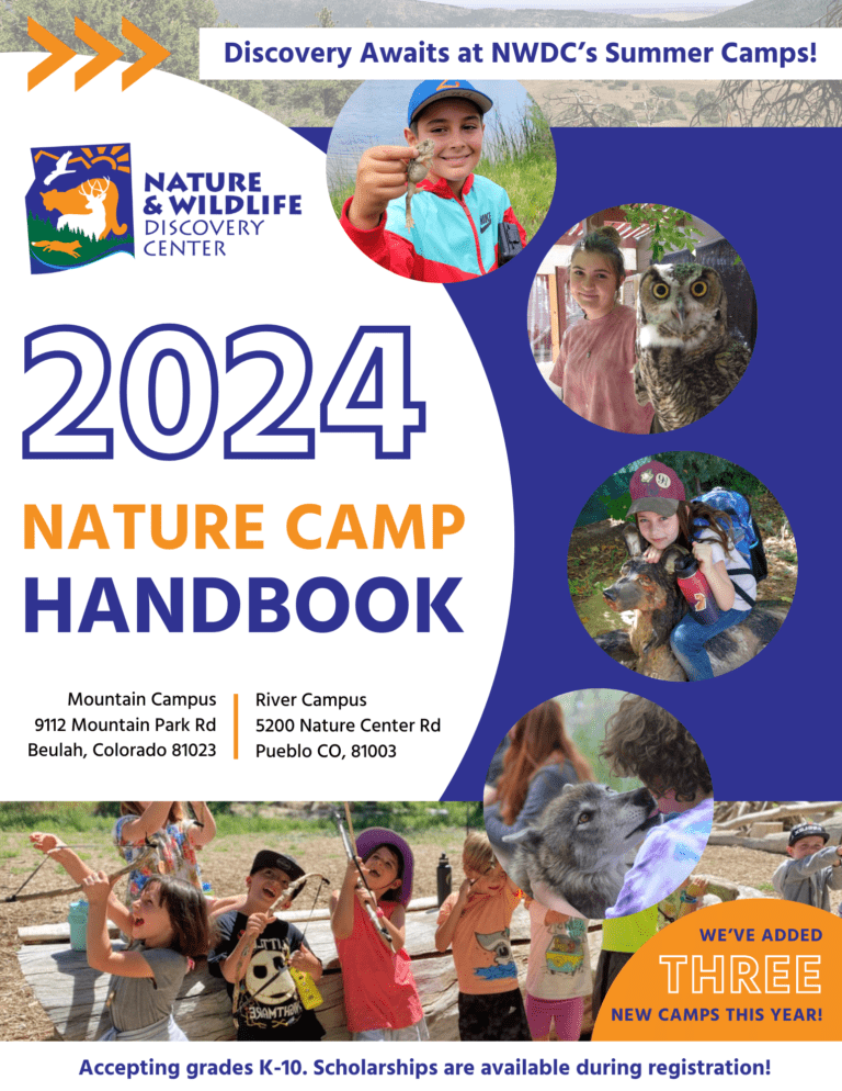 2024 Camp Handbook front page
