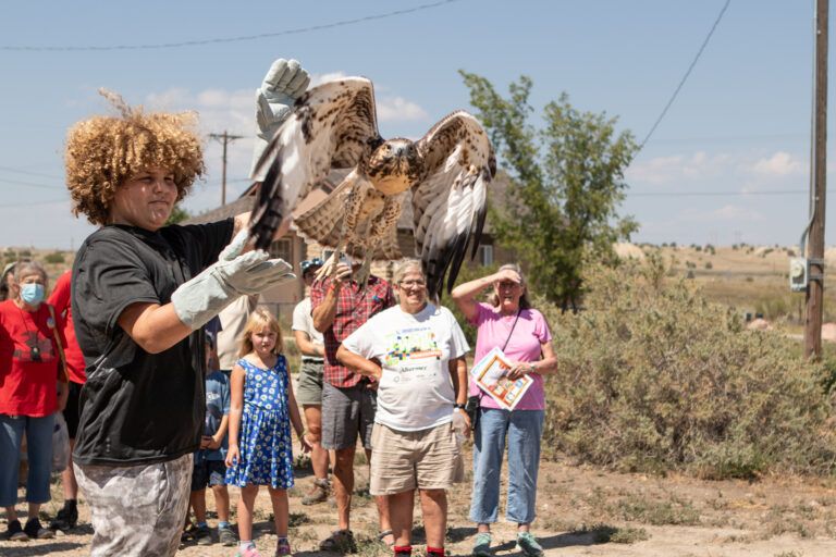 Riddick, a local bird-lover, won one of the drawings to release a hawk into the wild.