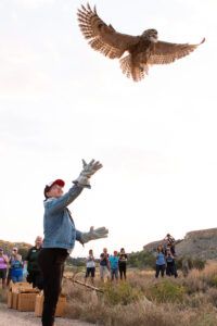 Woman releasing Great Horned Owl back into the wild