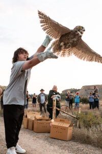 Christian releases owl 