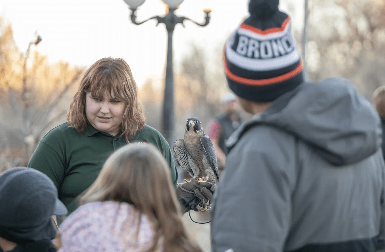 woman and falcon