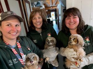 three women holding baby owls